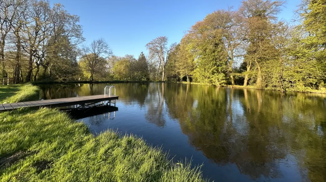 A calm pond on a summers day surrounded by trees