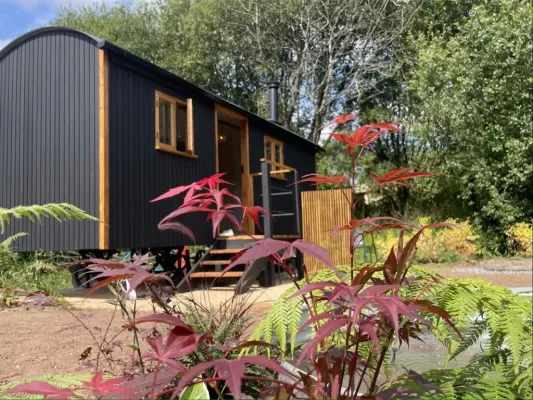 Luxurious Shepherd Hut Accommodation